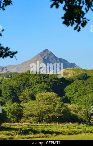 Cnicht, una montagna nel sud del Parco Nazionale di Snowdonia che fa parte della gamma Moelwynion. Foto Stock