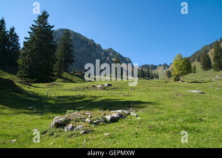 Geografia / viaggi, in Germania, in Baviera, Breitenstein Mangfall, montagne, Chiemgau Alpi, Foto Stock
