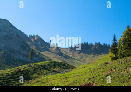 Geografia / viaggi, in Germania, in Baviera, Breitenstein Mangfall, montagne, Chiemgau Alpi, Foto Stock