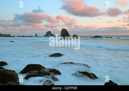 Geografia / viaggi, USA, Oregon, Indian Beach, Ecola State Park, Cannon Beach, Foto Stock