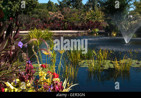 Lago e fontana al Denver Botanic Garden Foto Stock