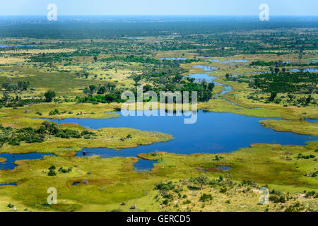 Vista aerea, Okavango Delta, Botswana Foto Stock