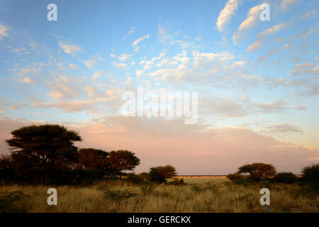 Sunrise, inganno Valley, il Central Kalahari Game Reserve, Botswana Foto Stock