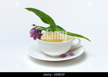 Tasse Beinwell-Tee, Symphytum offficnale, Echter su Beinwell, Beinwelltee Foto Stock