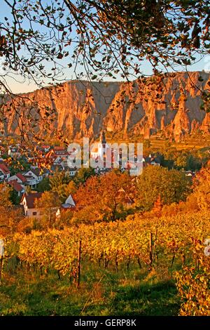 Geografia / viaggi, in Germania, in Renania Palatinato, Ebernburg, nel tardo autunno la luce del tramonto, vigneto, Foto Stock