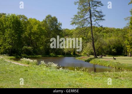 Geografia / viaggi, in Germania, in Renania settentrionale-Vestfalia, Munsterland, Raesfeld, riserva naturale "Hohe Mark", mill stream,