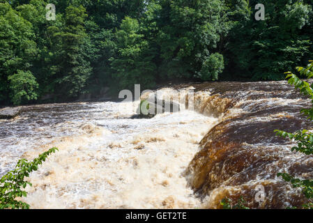 La bellissima Aysgarth superiore cade sul Fiume Ure in Wensleydale Yorkshire Dales National Park England Regno Unito Regno Unito Foto Stock