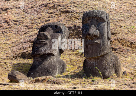 Rano Raraku sull'Isola di Pasqua Foto Stock