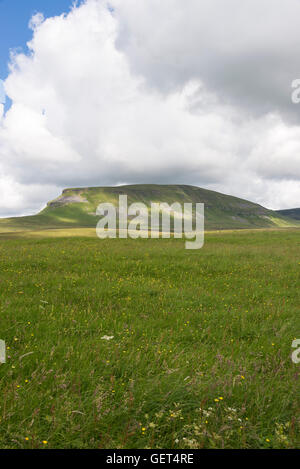 La bellissima collina Penyghent nel Yorkshire Dales vicino a Horton in Ribblesdale England Regno Unito Regno Unito Foto Stock