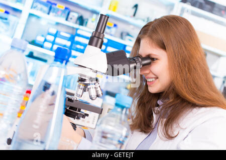 Prova di acqua portatile in laboratorio Foto Stock