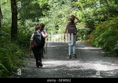 Tre bambini passeggiate attraverso boschi Foto Stock