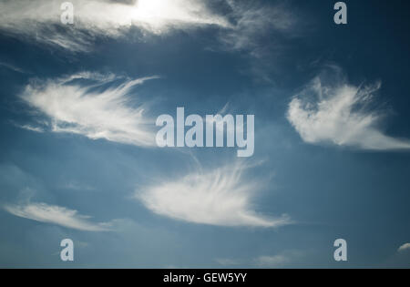 Insolito cirrus nuvole guardando come piume nel cielo blu