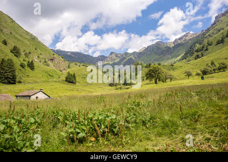 Incredibile vista sulla montagna in una soleggiata giornata estiva (Ponte di legno, Valle di viso - Italia) - Vista panoramica Foto Stock