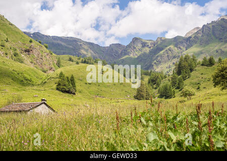 Incredibile vista sulla montagna in una soleggiata giornata estiva (Ponte di legno, Valle di viso - Italia) - Vista panoramica Foto Stock