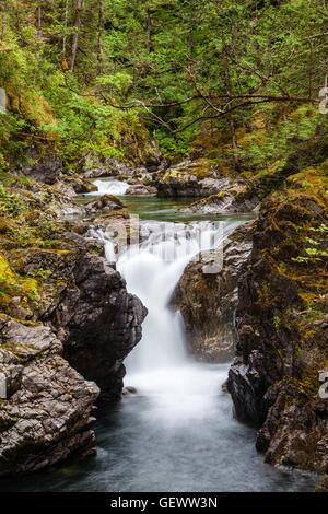 Little Qualicum Falls (cascate inferiori) vicino a Qualicum Beach e Parksville sull'Isola di Vancouver, British Columbia, Canada. Foto Stock