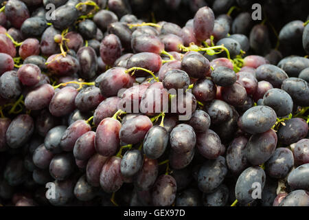 Pila di uve scuro - cluster delle uve rosse Foto Stock