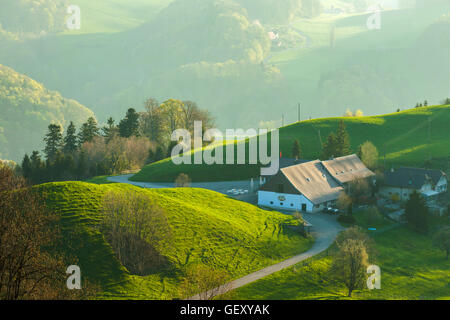 Mattina di primavera nel Giura svizzero. Foto Stock