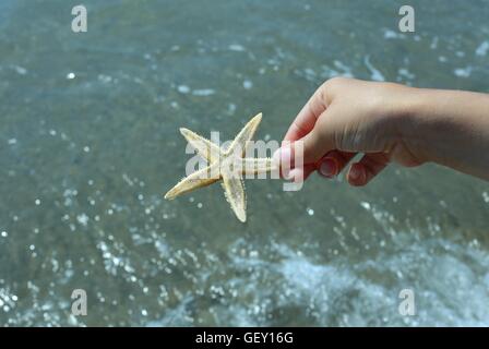 Bambino tiene in mano le grandi stelle marine sulla riva del mare in estate Foto Stock