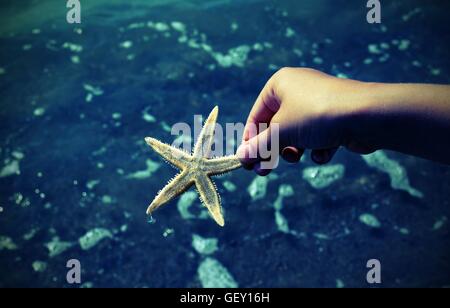 Bambino tiene in mano le stelle marine sulla riva del mare Foto Stock