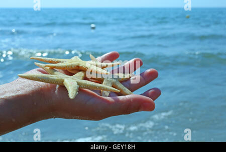 La ragazza tiene in mano le tre grandi stelle marine sulla riva del mare in estate Foto Stock