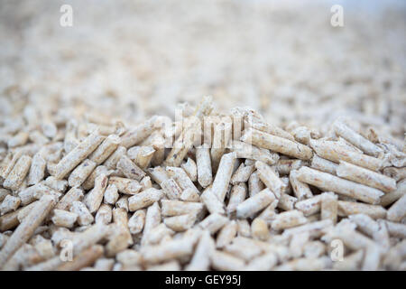 Pila di legno pellet fir- close up Foto Stock