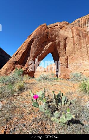 Geografia / viaggi, USA Utah, arco spezzato Arch, Glen Canyon National Recreation Area, foro-in-the-Rock Road, Foto Stock