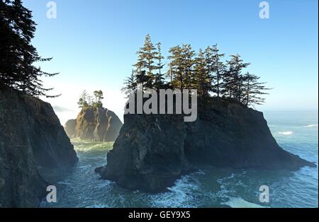Geografia / viaggi, USA, Oregon, Seastack, Samuel Boardman parco statale, Brookings, Foto Stock