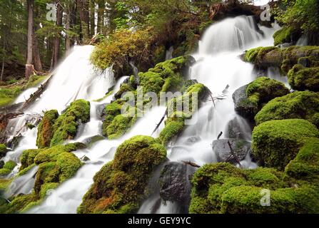 Geografia / viaggi, USA, Oregon, Clearwater caduta, Umpqua River Valley, Foto Stock