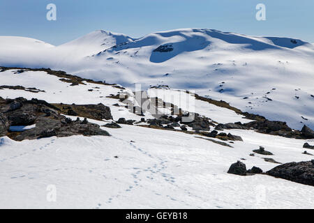 Strada di Montagna Dalsnibba, Norvegia Foto Stock