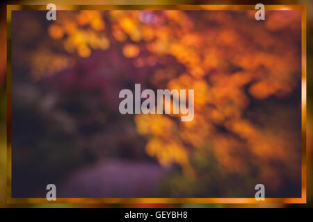 Diffonde i colori autunnali di un arancio e foglie d'oro al tramonto Foto Stock