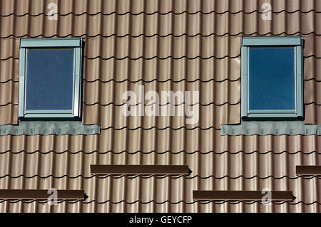 Tetti marrone elementi particolari di costruzione con windows Foto Stock