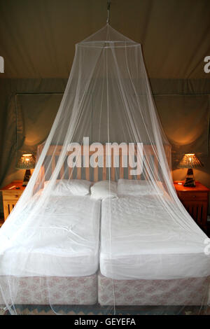 Tenda di lusso interno, Jackalberry Ridge, Marloth Park - Mpumalanga in Sudafrica Foto Stock