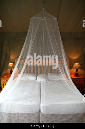 Tenda di lusso interno, Jackalberry Ridge, Marloth Park - Mpumalanga in Sudafrica Foto Stock