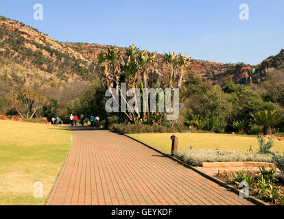 Percorso con alberi e montagne, Walter Sisulu National Botanical Gardens, Roodepoort, Johannesburg Gauteng, Sud Africa, 11/06/2011 Foto Stock