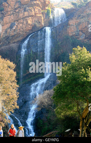 Cascata Witpoortjie, Walter Sisulu National Botanical Gardens, Roodepoort, Johannesburg Gauteng, Sud Africa, 11/06/2011 Foto Stock