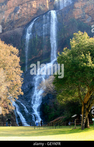 Cascata Witpoortjie, Walter Sisulu National Botanical Gardens, Roodepoort, Johannesburg Gauteng, Sud Africa, 11/06/2011 Foto Stock