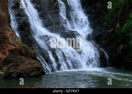 Cascata Witpoortjie, Walter Sisulu National Botanical Gardens, Roodepoort, Johannesburg Gauteng, Sud Africa, 11/06/2011 Foto Stock