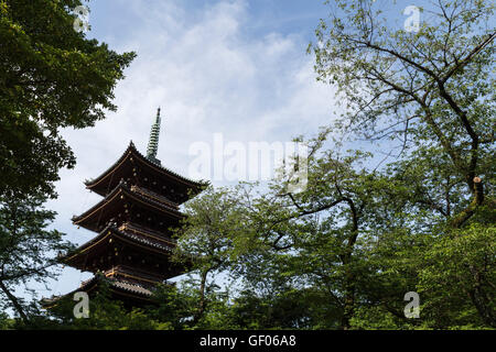 Vista dal basso presso la pagoda oltre al Santuario Toshogu nel Parco di Ueno a Tokyo Giappone Foto Stock