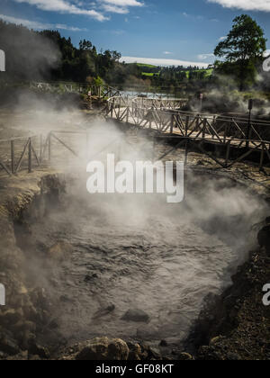 Geotermica acqua calda fori in Furnas, Sao Miguel, Azzorre, Portogallo. Questi sono utilizzati per cucinare il tradizionale stufato di carne che viene alimentato dal lato lungo Foto Stock