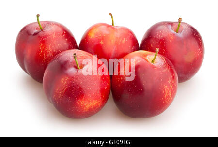 Prugne rosse isolato Foto Stock