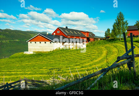 Bella fattoria del campo di fieno tagliato e granaio rosso. Gudbrandsdalen Valley vicino a Lillehammer, Norvegia, More og Romdal, Scandinavia Foto Stock