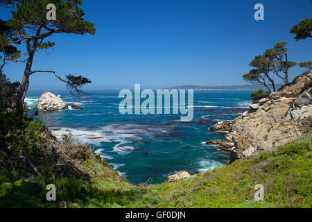 Costa rocciosa, Point Lobos State Reserve, Big Sur Coast Highway Scenic Byway, California Foto Stock