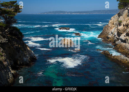 Costa rocciosa, Point Lobos State Reserve, Big Sur Coast Highway Scenic Byway, California Foto Stock