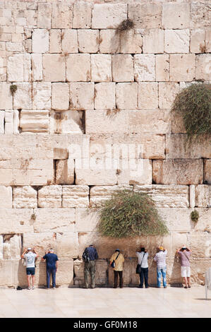 Gerusalemme: gli ebrei in preghiera al Muro Occidentale, il Muro del Pianto o Kotel, sopravvissuta residuo del Monte del Tempio, il luogo più sacro per l'Ebraismo Foto Stock