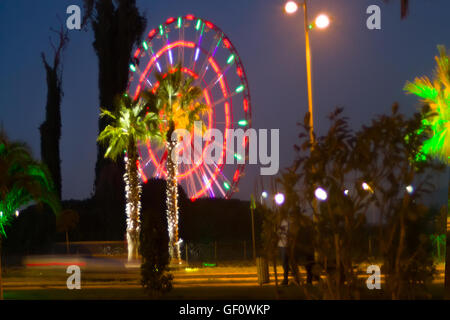 Illumina di palme e illuminazione su strada a sud della città. industria di intrattenimento Foto Stock