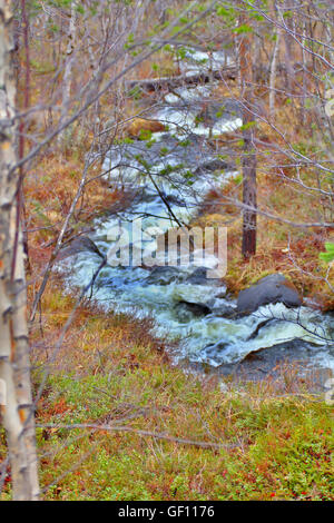 Viev da valle del piccolo fiume nella foresta. Il rumore di flusso Foto Stock