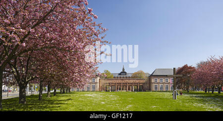 Grassi Museum di Lipsia, Germania Foto Stock