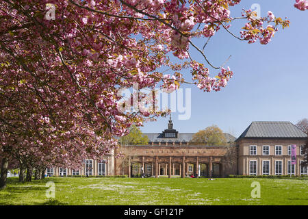 Grassi Museum di Lipsia, Germania Foto Stock