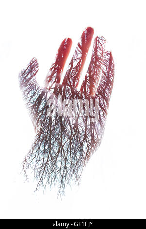 Doppia esposizione di una mano e alberi Foto Stock