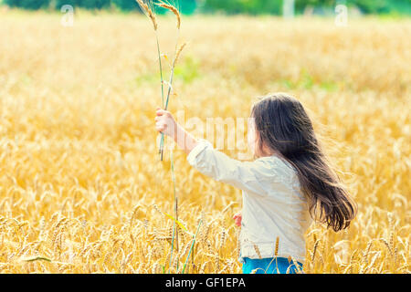 Piccolo felice ragazza con i capelli lunghi camminando sul campo di grano Foto Stock